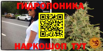 амф Бузулук