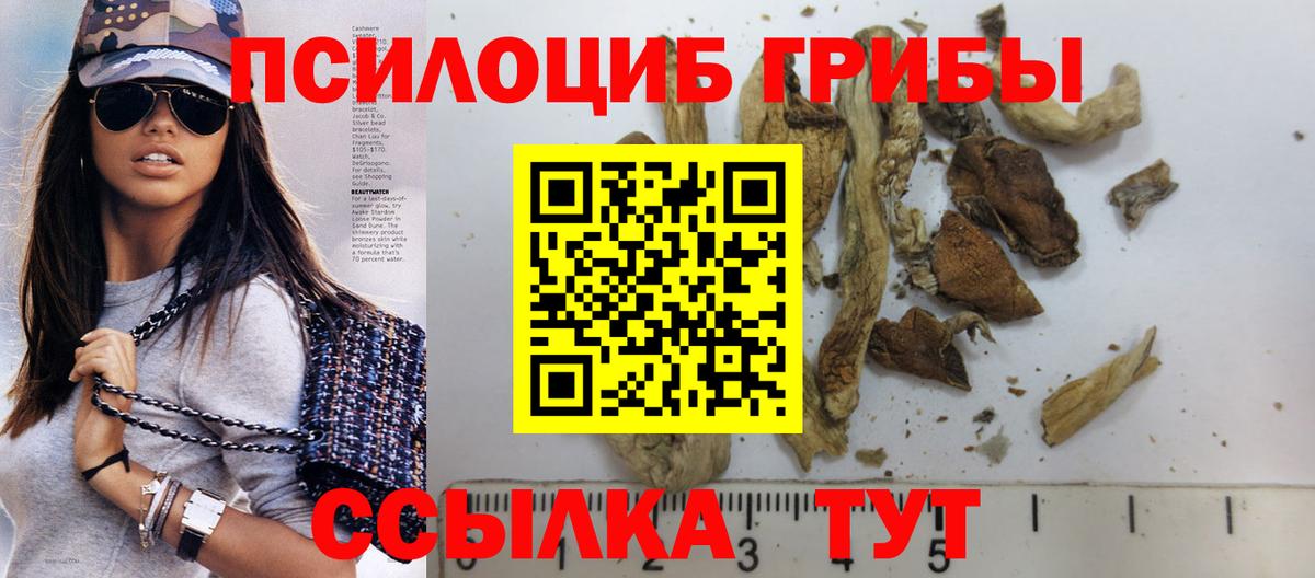 Галлюциногенные грибы GOLDEN TEACHER Топки
